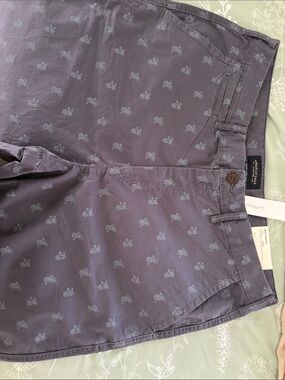 American Eagle Outfitters Men's Pineapple Print Chino Shorts - Purple
